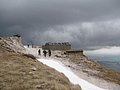 IMG_3039.jpg
