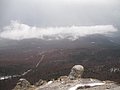 IMG_3056.jpg