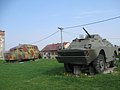 IMG_3072.jpg