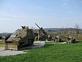 IMG_3075.jpg