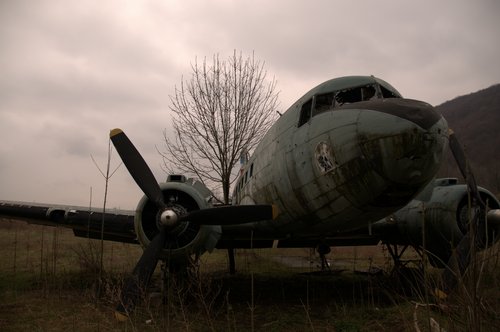 _DSC3737.jpg