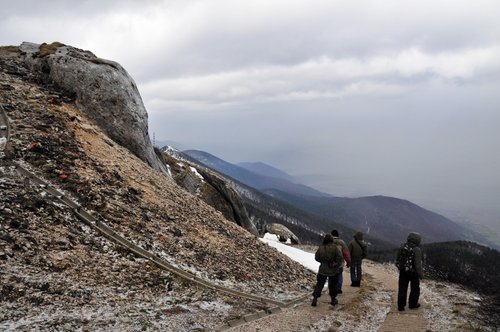 _DSC3947.JPG