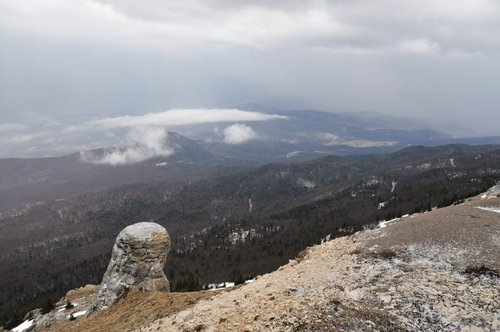 _DSC3949.JPG