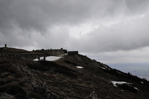 _DSC3951.JPG