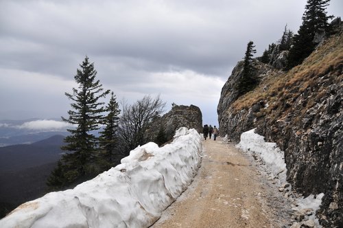 _DSC3953.JPG