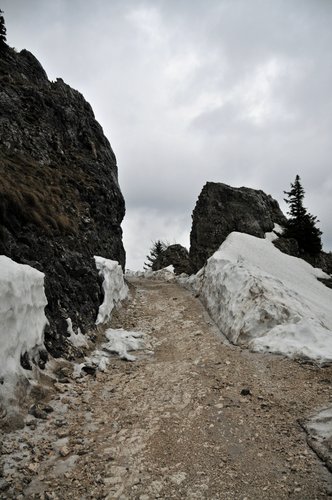 _DSC3955.JPG