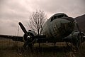 _DSC3737.jpg