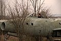 _DSC3738.jpg