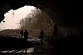 _DSC3753.jpg
