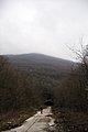 _DSC3827.JPG