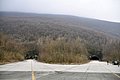 _DSC3846.JPG