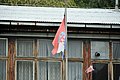 _DSC3851.JPG