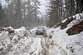 _DSC3854.JPG