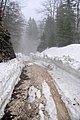 _DSC3855.JPG