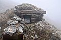 _DSC3868.JPG