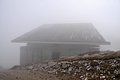 _DSC3871.JPG