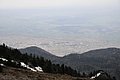_DSC3950.JPG