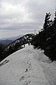 _DSC3952.JPG