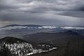 _DSC3954.JPG