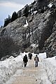 _DSC3956.JPG
