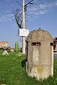 _DSC3979.JPG