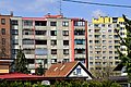 _DSC3987.JPG