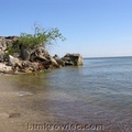 DSCN4449