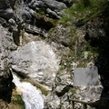 DSCN0231