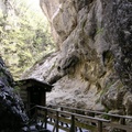 DSCN0233