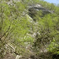 DSCN0267