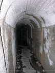 DSCN0330