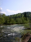 DSCN0358