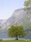 DSCN0367