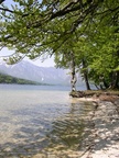 DSCN0370