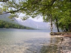 DSCN0371