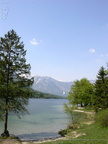 DSCN0372