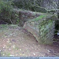 DSCN4174