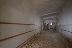 IMG 8216