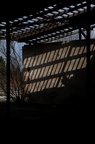 IMG 8280