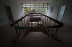 IMG 8371