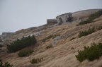 IMG 8570