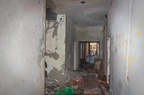 IMG 8592