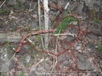 DSCN0848