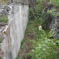 DSCN0853