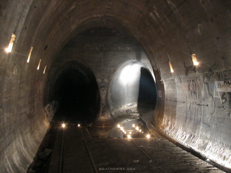 237.jpg