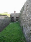 IMG 3294