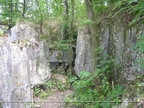 DSCN0982