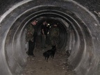 IMG 4795