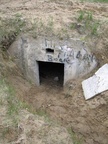 IMG 4798