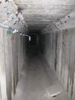 IMG 4806
